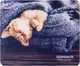 Миниатюра изображения товара Коврик для мыши Sonnen Kitten / 513313