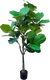 Миниатюра изображения товара Искусственное растение ForGarden Ficus Fiddle / BN11273