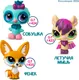 Миниатюра изображения товара Игровой набор Hasbro Littlest Pet Shop Сюжет Пижамная вечеринка 01037_LPS
