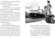 Миниатюра изображения товара Художественная книга Эксмо Рассветный тюлень (Вебб Холли 9785042104220)