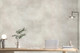 Миниатюра изображения товара Виниловые обои WallDecor Робин 75367-24