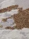 Миниатюра изображения товара Ковер Merinos Palermo F285-STAN-GREEN (2x2.9)