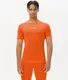 Миниатюра изображения товара Футболка спортивная Jogel Camp 2 PerFormDRY Baselayer SS Tee (оранжевый D2, L)