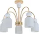 Миниатюра изображения товара Люстра Indigo Light Lucea V000626