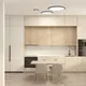 Миниатюра изображения товара Потолочный светильник Denkirs Thin DK6524-BK