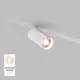 Миниатюра изображения товара Трековый светильник Denkirs Smart Spot DK8010-WH