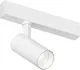 Миниатюра изображения товара Трековый светильник Denkirs Simple Spot DK8110-WH