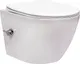Миниатюра изображения товара Унитаз подвесной с инсталляцией Saniteco Rimless RT-203-B + 501 + K01-PGR (с функцией биде/кнопка платиново-серый)