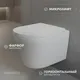 Миниатюра изображения товара Унитаз подвесной с инсталляцией Saniteco KW-9005W + 501 + K01-PRG (с кнопкой, матовое золото)
