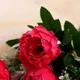 Миниатюра изображения товара Искусственный букет Sima-Land Пион Аверилл / 9913399