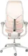 Миниатюра изображения товара Кресло геймерское Evolution Zephyr Pink