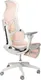 Миниатюра изображения товара Кресло геймерское Evolution Zephyr Pink