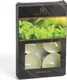 Миниатюра изображения товара Набор свечей Luazon Lighting 11056483 (6шт, зеленый чай)