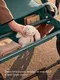 Миниатюра изображения товара Детская универсальная коляска Sweet Baby 2в1 SBL Dolce (Emerald)
