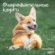 Миниатюра изображения товара Календарь настенный Эксмо Очаровательные корги. 2027 год (9785042472008)