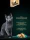 Миниатюра изображения товара Влажный корм для кошек Sheba Для взрослых кошек Паштет в желе. Форель креветка (75г)
