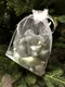 Миниатюра изображения товара Набор елочных игрушек Koopman Луковки Бурре / CAN226040-1 (12шт)