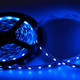 Миниатюра изображения товара Светодиодная лента Neon-Night 141-499