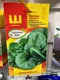 Миниатюра изображения товара Семена Sakata Шпинат Аполло F1 (50шт)