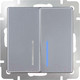Миниатюра изображения товара Выключатель Werkel WL06-SW-2G-LED / a029826 (серебро)