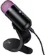 Миниатюра изображения товара Микрофон Hoco L50 USB-С (черный)