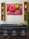 Миниатюра изображения товара Телевизор Harper 55" 55Q970TS (MiniLED)