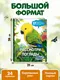 Миниатюра изображения товара Книжка-панорамка Эксмо Рассмотри и погладь! Попугай (9785042239762)