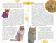 Миниатюра изображения товара Энциклопедия АСТ Кошки мира. Определитель, интегральная обложка (Михальская Анна)