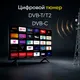 Миниатюра изображения товара Телевизор QUANTUM 24" 24H5BQ