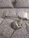 Миниатюра изображения товара Комплект постельного белья GoodNight Сатин Делюкс 2602 1.5сп / 439433 (50x70, с компаньоном)
