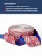 Миниатюра изображения товара Тесьма декоративная Лента Р91597/42 (красный/белый/василек)