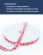 Миниатюра изображения товара Тесьма декоративная Лента Р91663/15 (красный/белый)