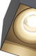 Миниатюра изображения товара Потолочный светильник Maytoni Alfa C015CL-01B
