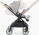 Миниатюра изображения товара Детская прогулочная коляска Happy Baby Celine (grey new)
