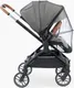 Миниатюра изображения товара Детская прогулочная коляска Happy Baby Celine (grey new)