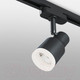 Миниатюра изображения товара Трековый светильник Elektrostandard Molly 7W 4200K LTB31 (черный)