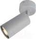 Миниатюра изображения товара Спот Arte Lamp Aquarius A3216PL-1GY