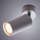 Миниатюра изображения товара Спот Arte Lamp Aquarius A3216PL-1GY
