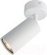 Миниатюра изображения товара Спот Arte Lamp Aquarius A3216PL-1WH