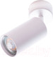 Миниатюра изображения товара Спот Arte Lamp Aquarius A3216PL-1WH