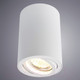 Миниатюра изображения товара Точечный светильник Arte Lamp Sentry A1560PL-1WH