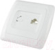 Миниатюра изображения товара Розетка TDM Онега SQ1805-0020 (белый)