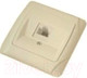 Миниатюра изображения товара Розетка TDM Онега SQ1805-0051 (слоновая кость)