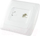 Миниатюра изображения товара Розетка TDM Онега SQ1805-0022 (белый)