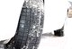 Миниатюра изображения товара Зимняя шина Bridgestone Blizzak Ice 255/45R18 99S