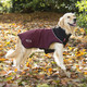 Миниатюра изображения товара Попона для животных Scruffs Thermal / 938208 (36см, бордовый)