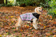 Миниатюра изображения товара Попона для животных Scruffs Thermal / 937409 (40см, серо-розовый квадрат)