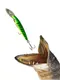 Миниатюра изображения товара Воблер Rapala Countdown Magnum / CDMAG11-FT
