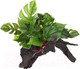 Миниатюра изображения товара Декорация для террариума Lucky Reptile Forest Wood Premium / FWP-2