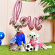 Миниатюра изображения товара Платье для животных Puppia Ace / PATA-OP1742-PK-M (M, розовый)